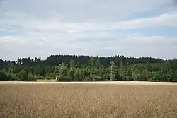 Pohled na Pekelný kopec od Mikulovic