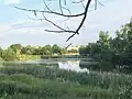Týnský rybník