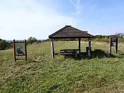Owczary