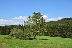 Severní část chráněného území