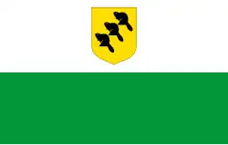 Põlva – vlajka
