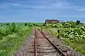 Pětipsy