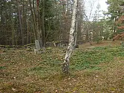 Židovský hřbitov v Pňovanech