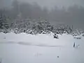 Zima na Malém Toku