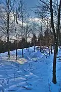 Příkop hradu Úsobrno