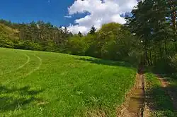 Švařec II