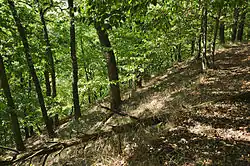 Bačov