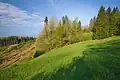 Dobšena