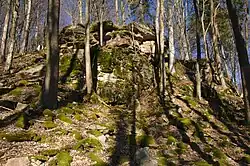 Habrová