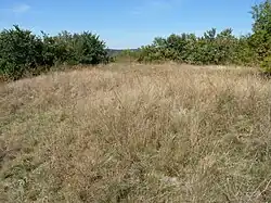 Návrší