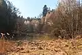 Rybník U svaté Trojice