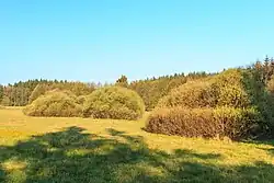 Přírodní památka U Tučkovy hájenky