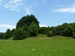 PP Věřňovice
