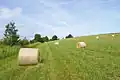 Louky severně od Kunštátu