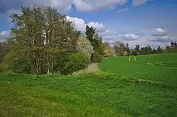 Popis obrazku