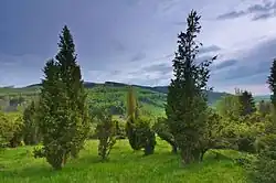 Jalovce v PR