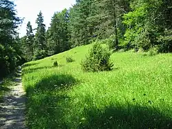 PR Milčice