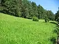 Milčice