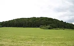 Pučanka