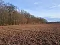 Jižní okraj rezervace