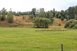 Přírodní rezervace Za pilou