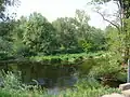 Meandr řeky Jihlavy u Medlova