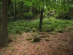 Kamenné pole