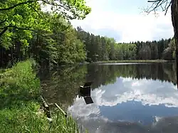 Přesličkový rybník východně od Veveří