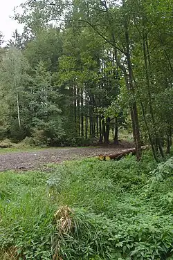 Pohled na místo