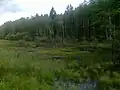 Pohled na stolovou horu