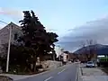 Dubrava