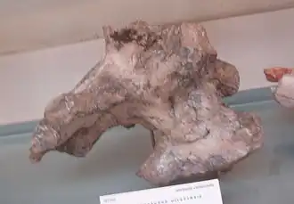 alternativní popis obrázku chybí