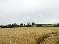 Pohled z dáli