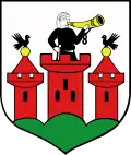Łęczyca – znak