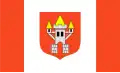 Śrem – vlajka