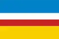 Żory – vlajka