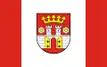 Będzin – vlajka