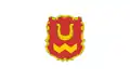 Biała Rawska – vlajka