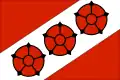 Brzeg Dolny – vlajka