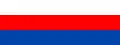 Brzesko – vlajka