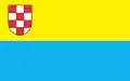 Działdowo – vlajka
