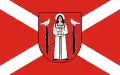 Golub-Dobrzyń – vlajka