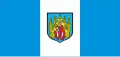 Grodzisk Wielkopolski – vlajka