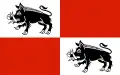 Mieroszów – vlajka