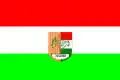 Olszyna – vlajka