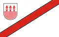 Przasnysz – vlajka