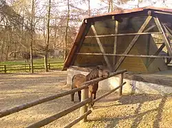 Mini-Zoo