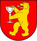 Stronie Śląskie – znak