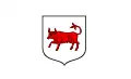 Turek – vlajka