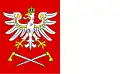 Gmina Czarny Dunajec – vlajka
